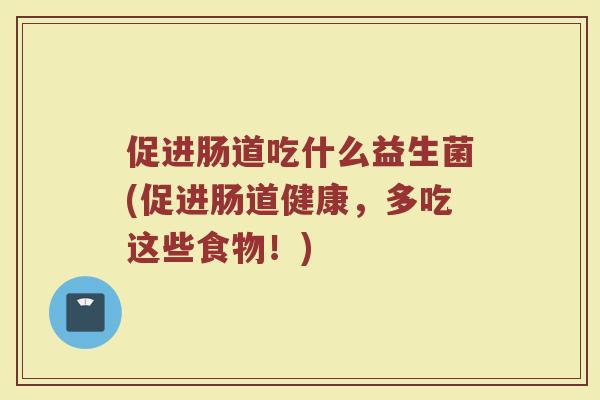 促进肠道吃什么益生菌(促进肠道健康,多吃这些食物!)