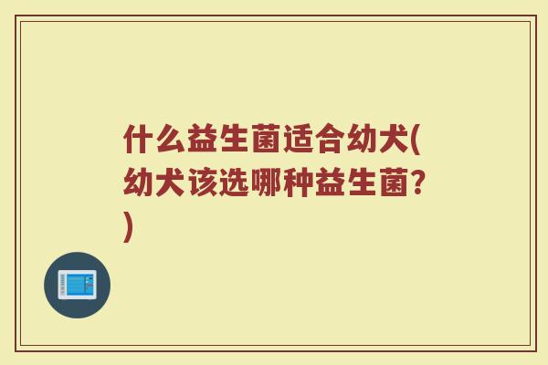 什么益生菌适合幼犬(幼犬该选哪种益生菌?)