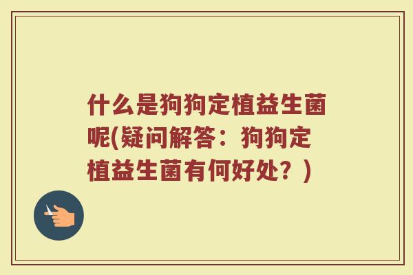 什么是狗狗定植益生菌呢(疑问解答:狗狗定植益生菌有何好处?)