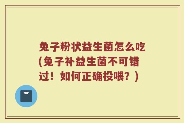 兔子粉状益生菌怎么吃(兔子补益生菌不可错过!如何正确投喂?)