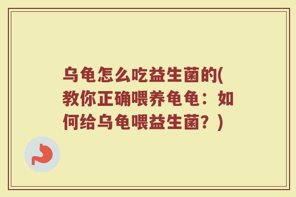 乌龟怎么吃益生菌的(教你正确喂养龟龟:如何给乌龟喂益生菌?)