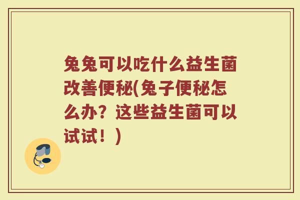 兔兔可以吃什么益生菌改善便秘(兔子便秘怎么办?这些益生菌可以试试!)