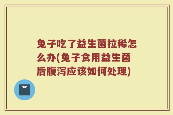 兔子吃了益生菌拉稀怎么办(兔子食用益生菌后腹泻应该如何处理)