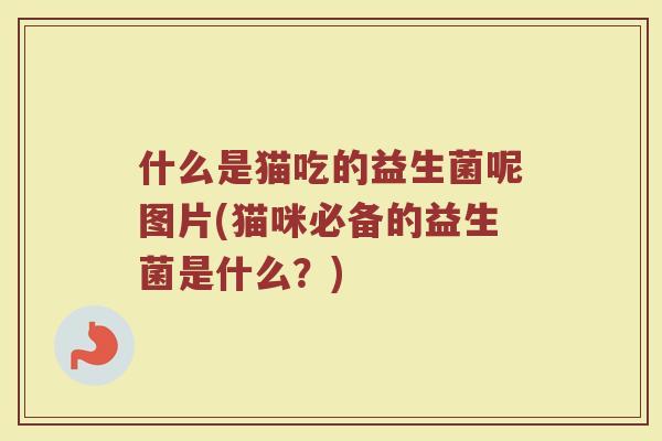 什么是猫吃的益生菌呢图片(猫咪必备的益生菌是什么?)
