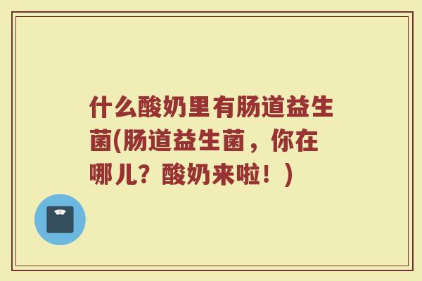 什么酸奶里有肠道益生菌(肠道益生菌,你在哪儿?酸奶来啦!)