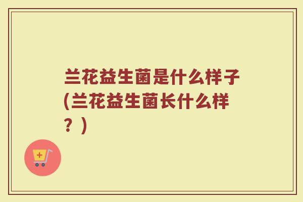 兰花益生菌是什么样子(兰花益生菌长什么样?)