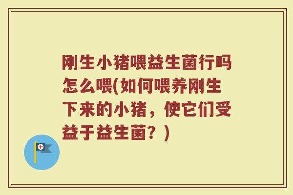 刚生小猪喂益生菌行吗怎么喂(如何喂养刚生下来的小猪，使它们受益于益生菌？)