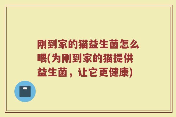 刚到家的猫益生菌怎么喂(为刚到家的猫提供益生菌,让它更健康)