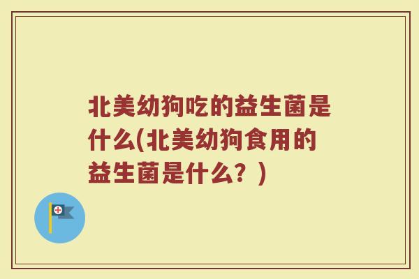 北美幼狗吃的益生菌是什么(北美幼狗食用的益生菌是什么?)