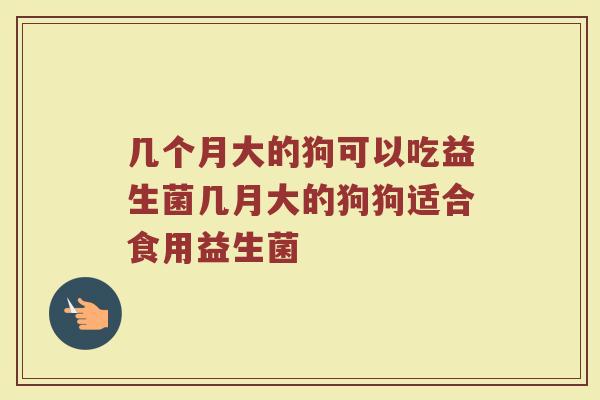 几个月大的狗可以吃益生菌几月大的狗狗适合食用益生菌