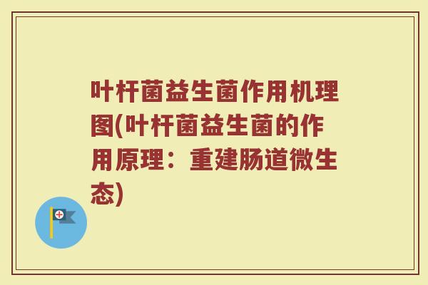 叶杆菌益生菌作用机理图(叶杆菌益生菌的作用原理：重建肠道微生态)