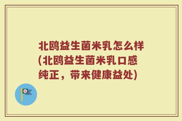 北鸥益生菌米乳怎么样(北鸥益生菌米乳口感纯正，带来健康益处)