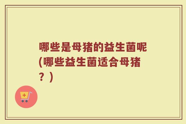 哪些是母猪的益生菌呢(哪些益生菌适合母猪?)