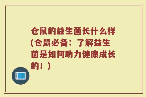 仓鼠的益生菌长什么样(仓鼠必备:了解益生菌是如何助力健康成长的!)