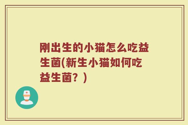 刚出生的小猫怎么吃益生菌(新生小猫如何吃益生菌?)
