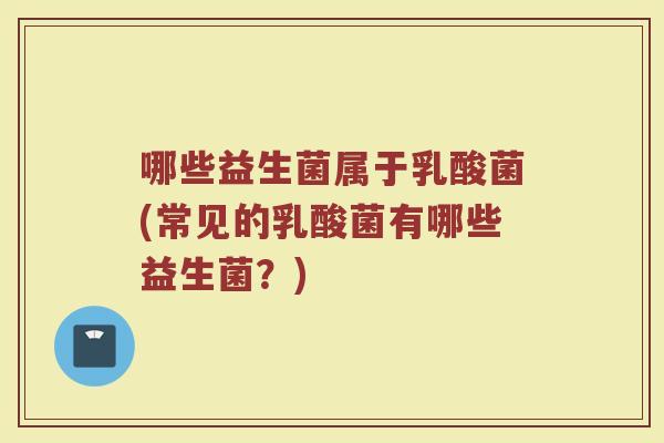 哪些益生菌属于乳酸菌(常见的乳酸菌有哪些益生菌？)