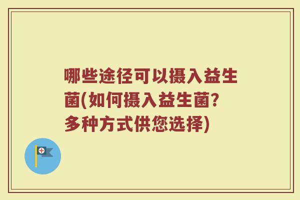 哪些途径可以摄入益生菌(如何摄入益生菌？多种方式供您选择)