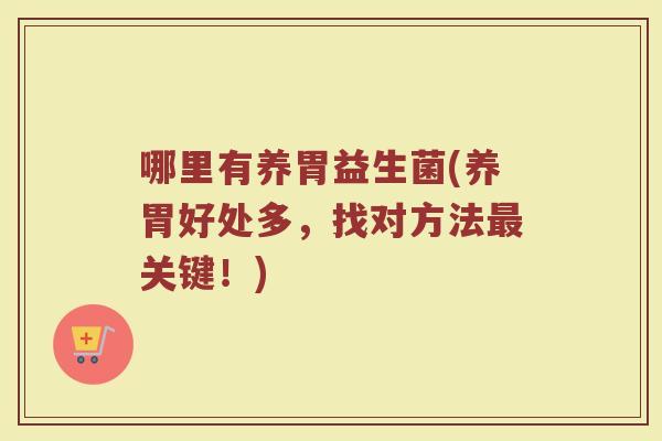 哪里有养胃益生菌(养胃好处多,找对方法最关键!)