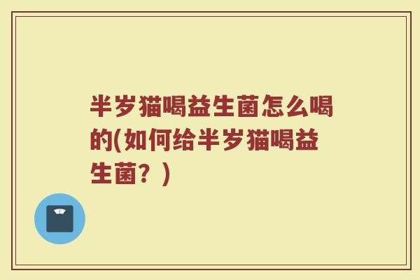半岁猫喝益生菌怎么喝的(如何给半岁猫喝益生菌？)