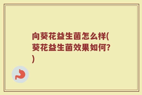 向葵花益生菌怎么样(葵花益生菌效果如何?)