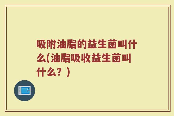 吸附油脂的益生菌叫什么(油脂吸收益生菌叫什么?)