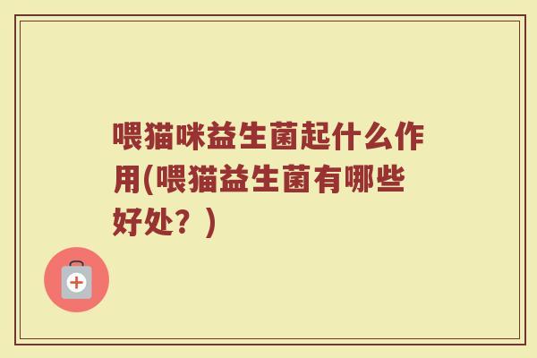 喂猫咪益生菌起什么作用(喂猫益生菌有哪些好处？)