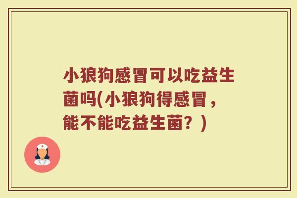 小狼狗感冒可以吃益生菌吗(小狼狗得感冒，能不能吃益生菌？)