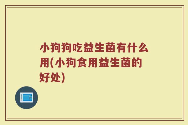小狗狗吃益生菌有什么用(小狗食用益生菌的好处)