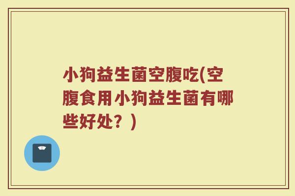 小狗益生菌空腹吃(空腹食用小狗益生菌有哪些好处？)