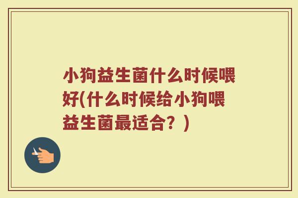 小狗益生菌什么时候喂好(什么时候给小狗喂益生菌最适合？)