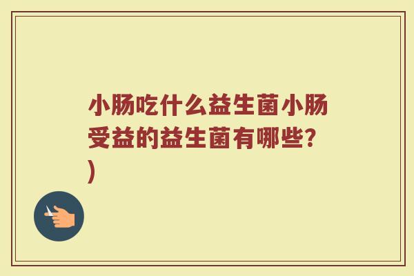 小肠吃什么益生菌小肠受益的益生菌有哪些？)
