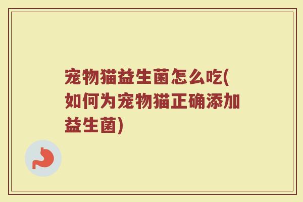宠物猫益生菌怎么吃(如何为宠物猫正确添加益生菌)
