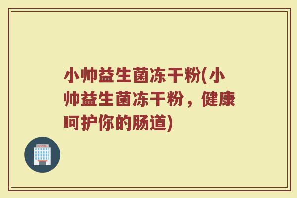 小帅益生菌冻干粉(小帅益生菌冻干粉，健康呵护你的肠道)