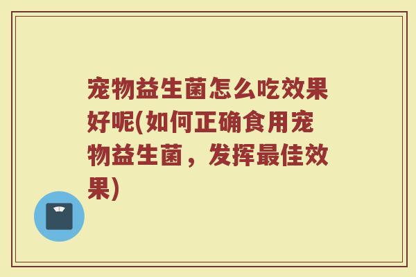宠物益生菌怎么吃效果好呢(如何正确食用宠物益生菌，发挥最佳效果)