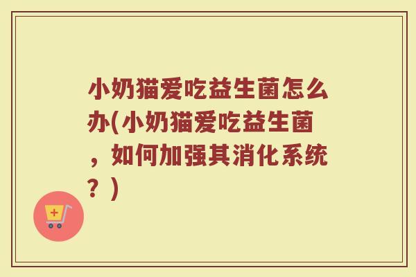 小奶猫爱吃益生菌怎么办(小奶猫爱吃益生菌,如何加强其消化系统?)