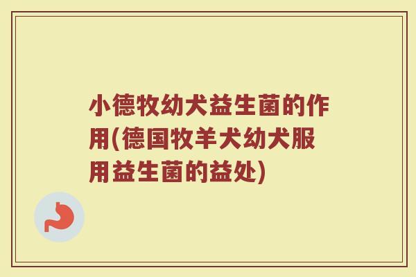 小德牧幼犬益生菌的作用(德国牧羊犬幼犬服用益生菌的益处)