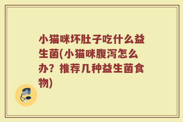 小猫咪坏肚子吃什么益生菌(小猫咪腹泻怎么办？推荐几种益生菌食物)