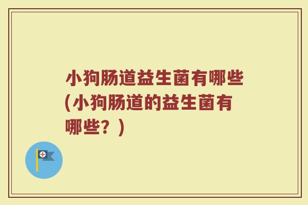 小狗肠道益生菌有哪些(小狗肠道的益生菌有哪些?)