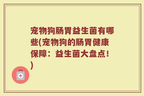 宠物狗肠胃益生菌有哪些(宠物狗的肠胃健康保障：益生菌大盘点！)
