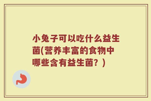 小兔子可以吃什么益生菌(营养丰富的食物中哪些含有益生菌？)