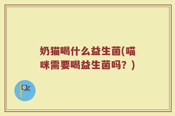 奶猫喝什么益生菌(喵咪需要喝益生菌吗?)