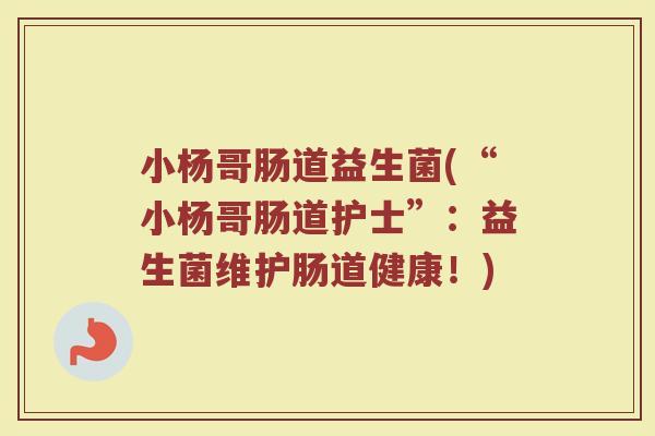 小杨哥肠道益生菌(“小杨哥肠道护士”：益生菌维护肠道健康！)