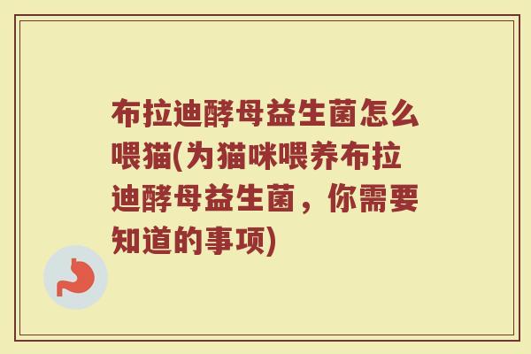 布拉迪酵母益生菌怎么喂猫(为猫咪喂养布拉迪酵母益生菌，你需要知道的事项)