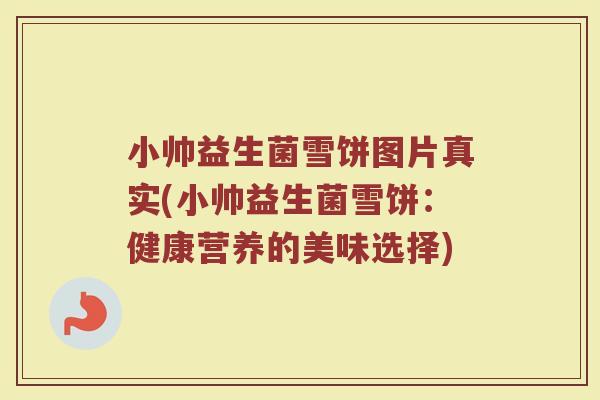 小帅益生菌雪饼图片真实(小帅益生菌雪饼:健康营养的美味选择) 小帅益生菌雪饼图片真实(小帅益生菌雪饼:健康营养的美味选择)