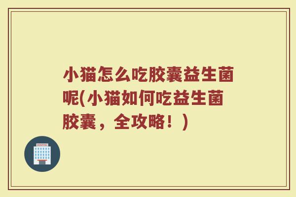 小猫怎么吃胶囊益生菌呢(小猫如何吃益生菌胶囊，全攻略！)