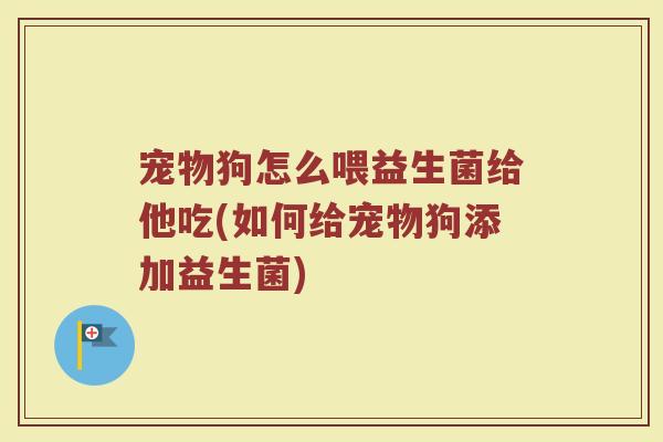 宠物狗怎么喂益生菌给他吃(如何给宠物狗添加益生菌)