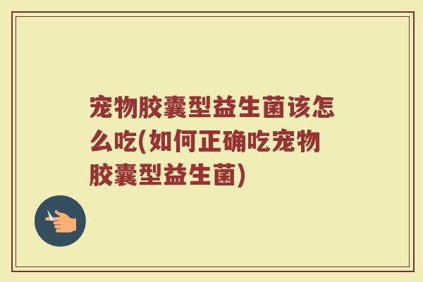 宠物胶囊型益生菌该怎么吃(如何正确吃宠物胶囊型益生菌)