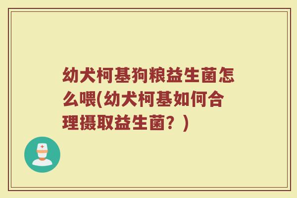 幼犬柯基狗粮益生菌怎么喂(幼犬柯基如何合理摄取益生菌？)