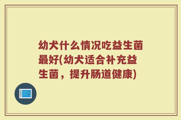 幼犬什么情况吃益生菌最好(幼犬适合补充益生菌,提升肠道健康)