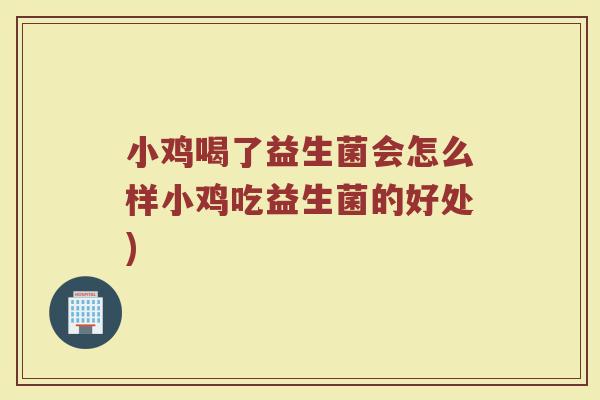 小鸡喝了益生菌会怎么样小鸡吃益生菌的好处)